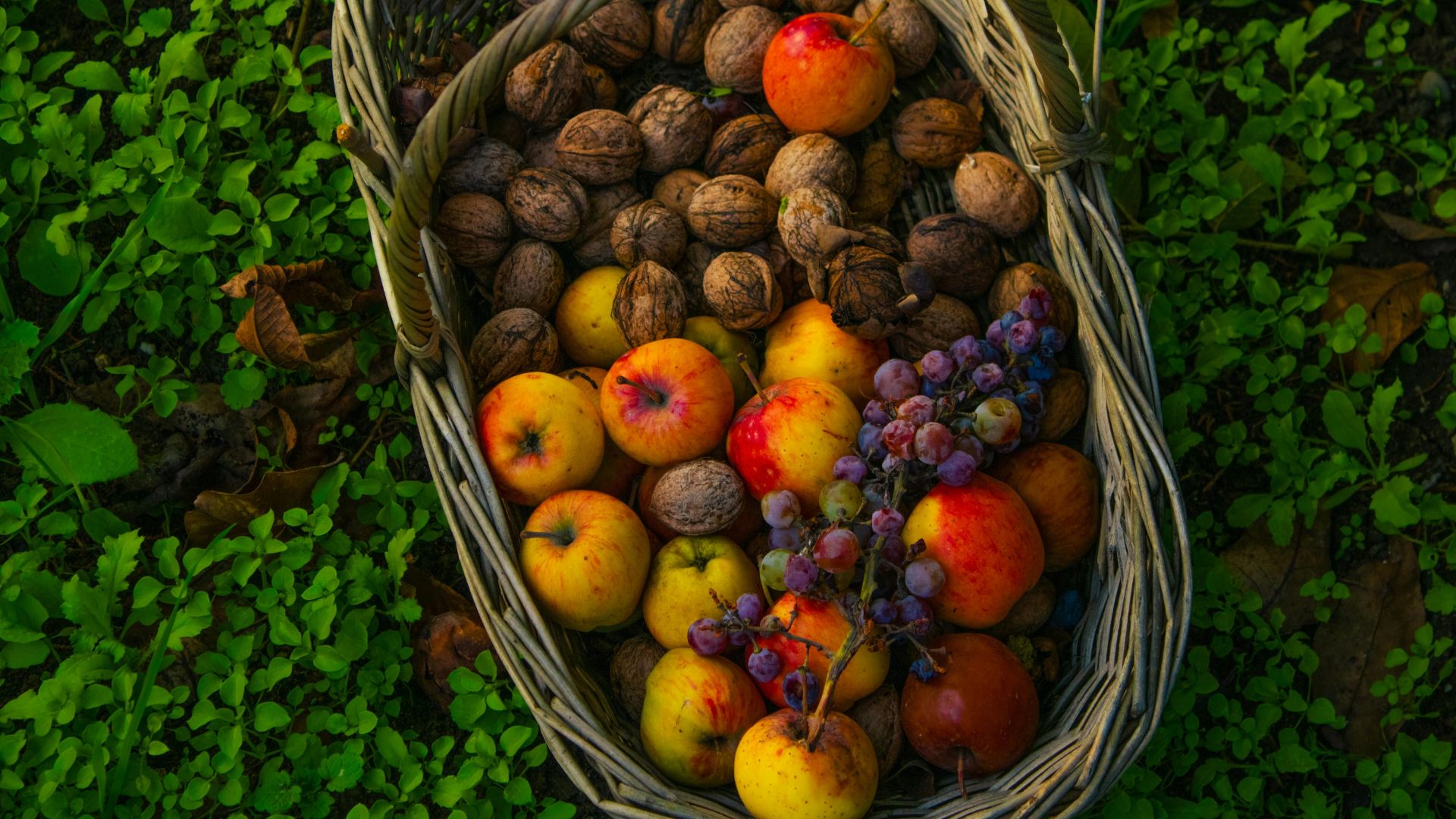 Sebze ve Meyvelerin Hasat Sonrası Vitamin Değerleri Ne Kadar Düşüyor?