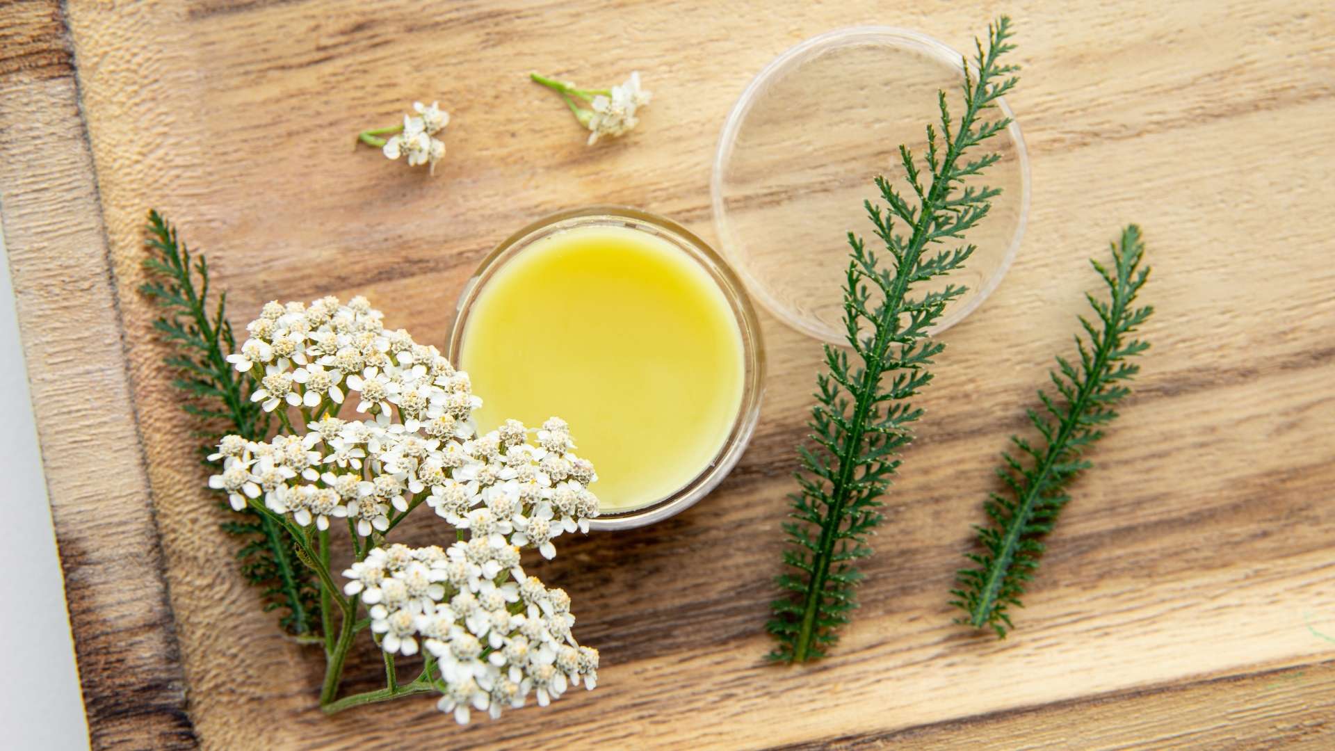 Civanperçemi ile Merhem Yapımı