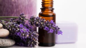 How to Make Lavender Oil