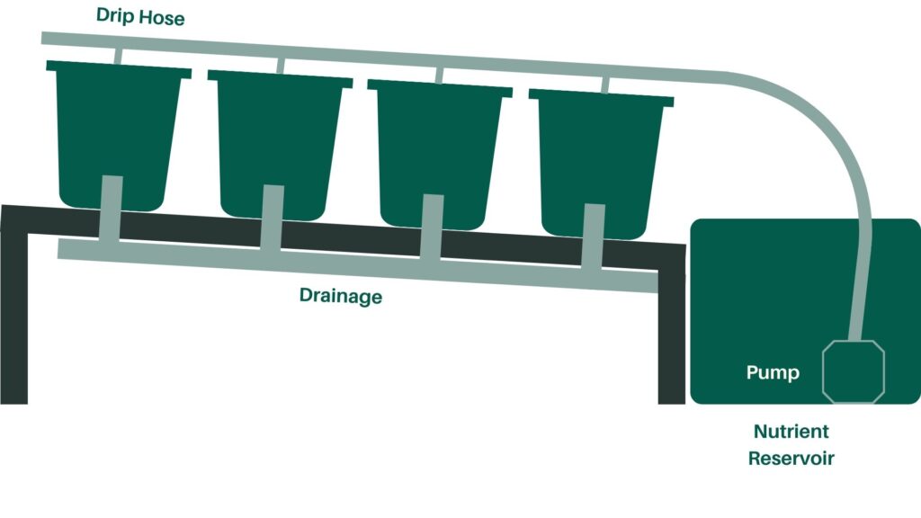 Drainage
