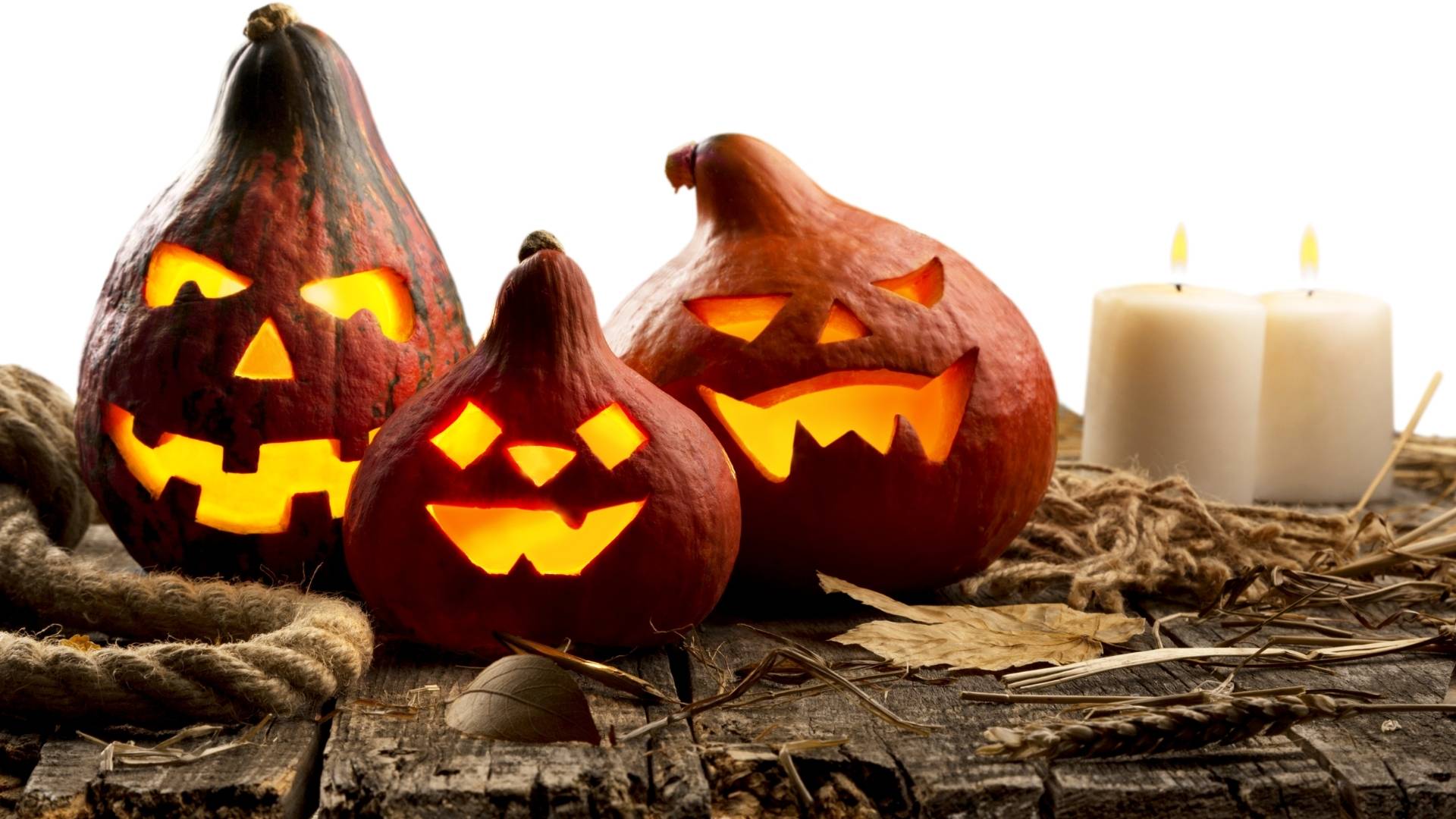 Pumpkin Carving And Recipe Ideas To Serve This Holiday Season
