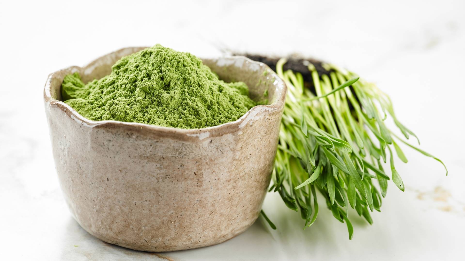 Mikro Yeşillikler Nasıl Kurutulur ve Saklanır