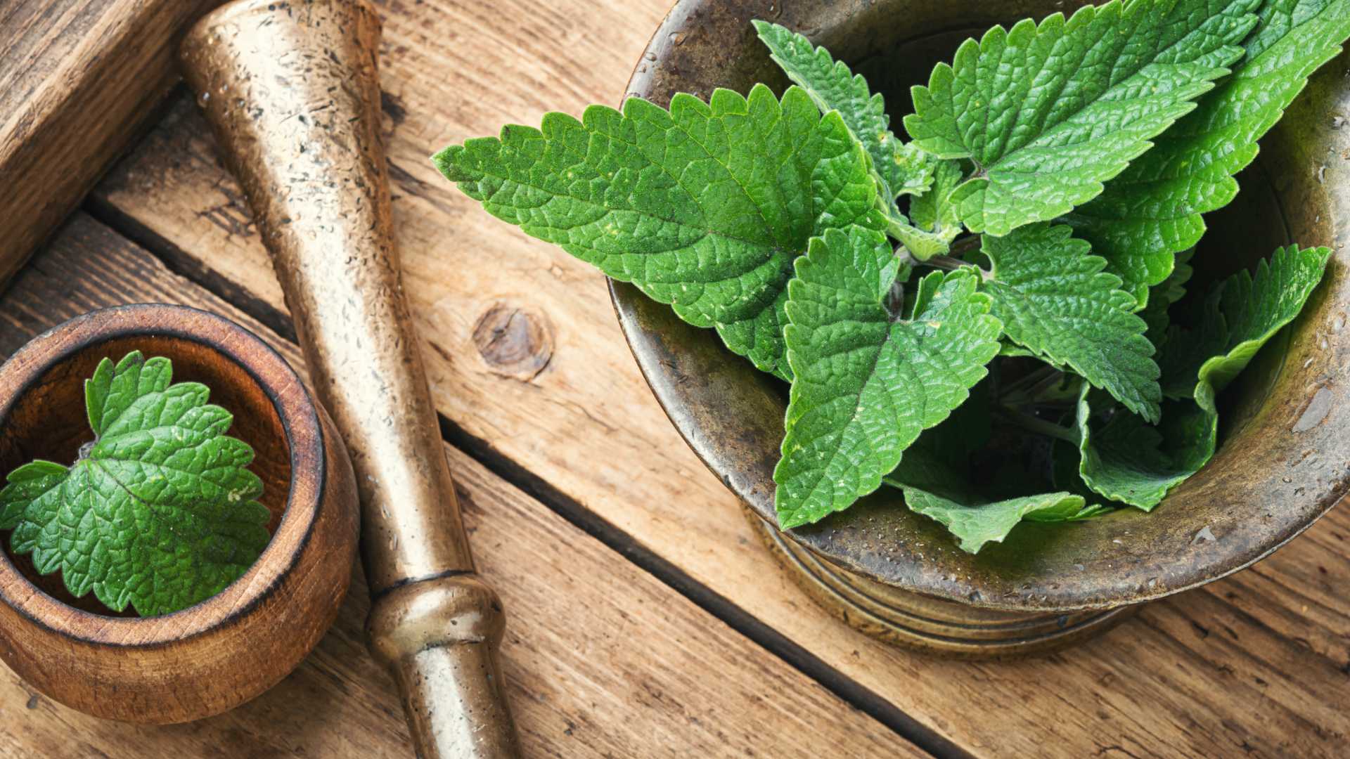 Lemon Balm Benefits and Side Effects