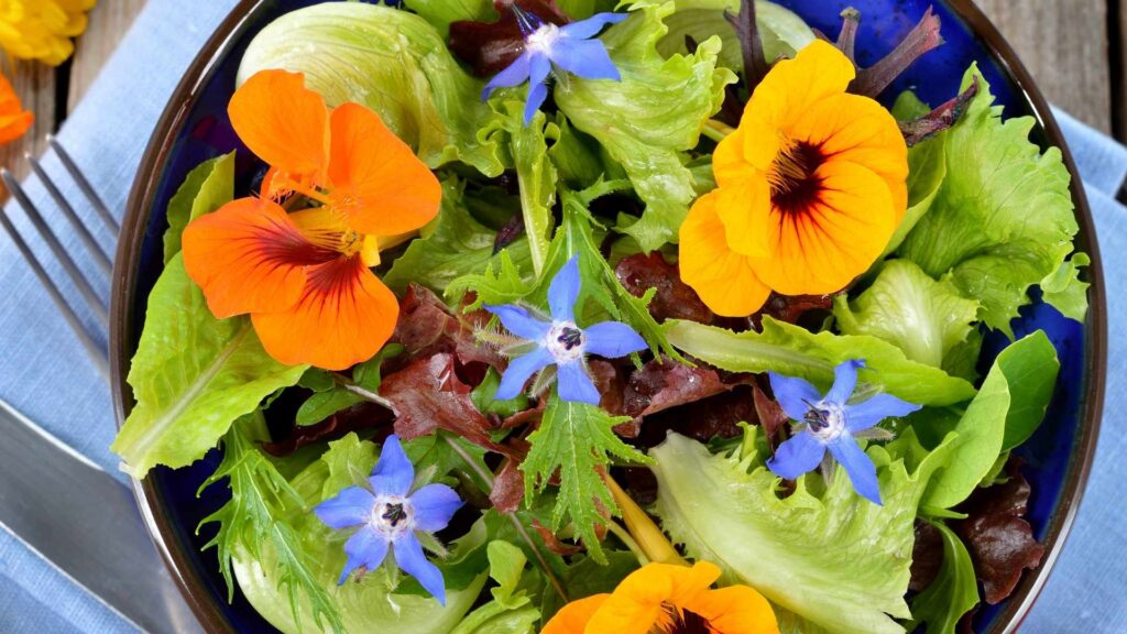 Edible Flowers for Beginners