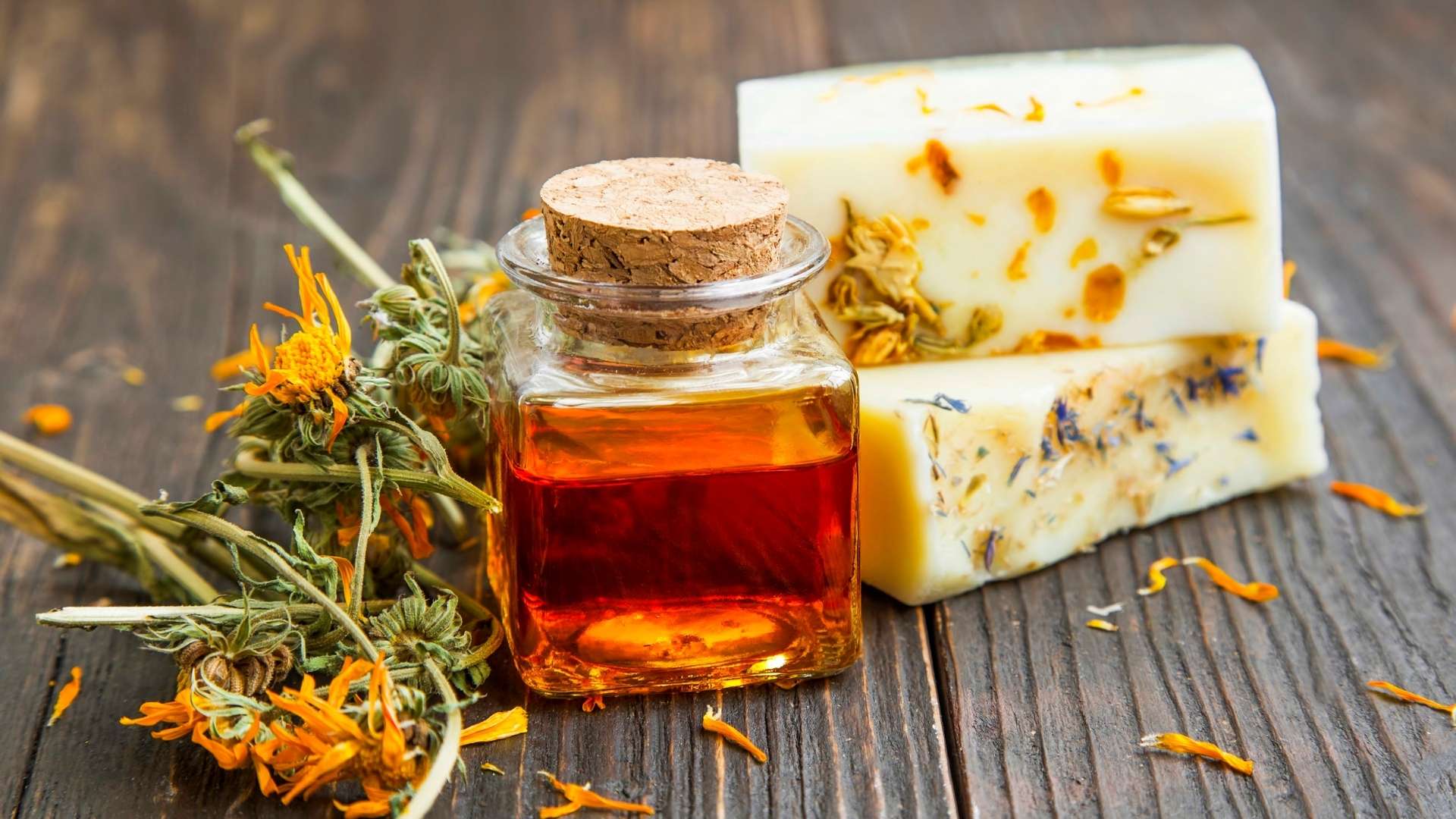 DIY Calendula Oil: Learn How to Make This Natural Healing Oil At Home