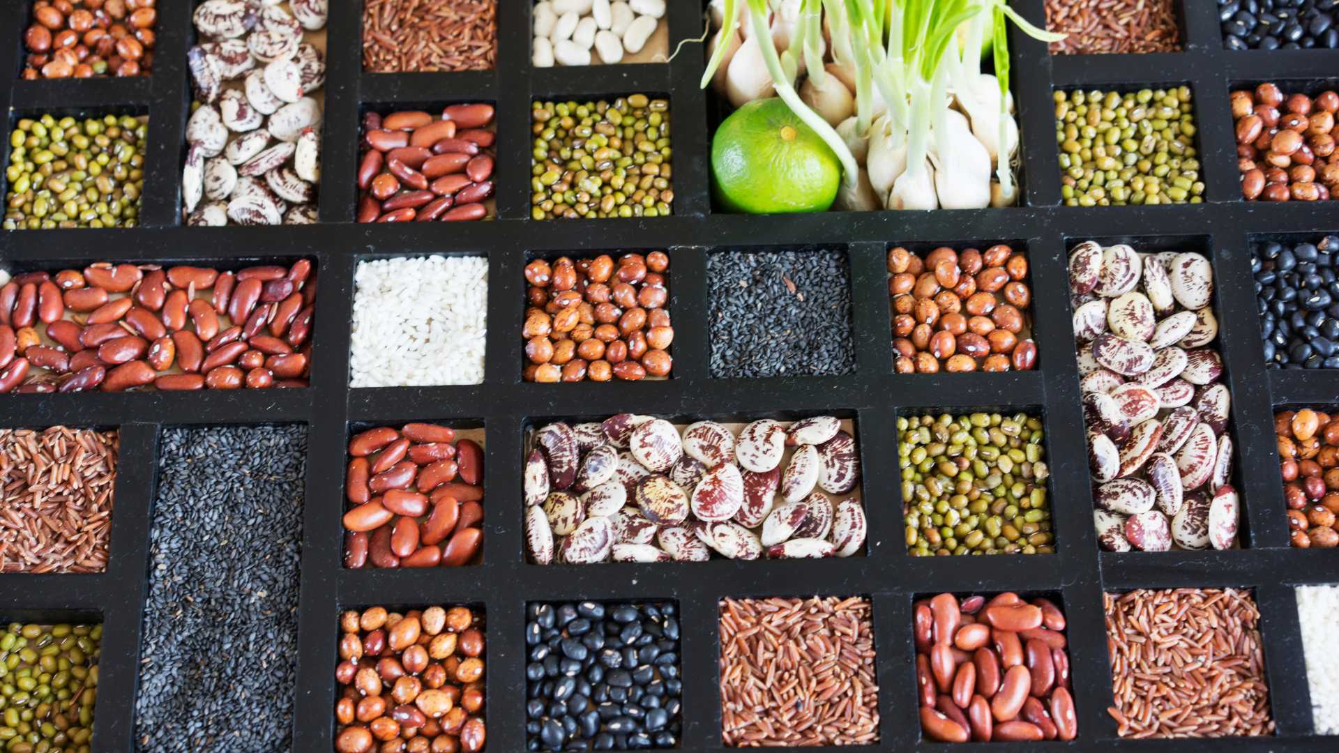 Why and How You Should Soak Your Seeds Before Sowing