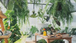Feeding Indoor Plants: A Guide to Nutrient Needs