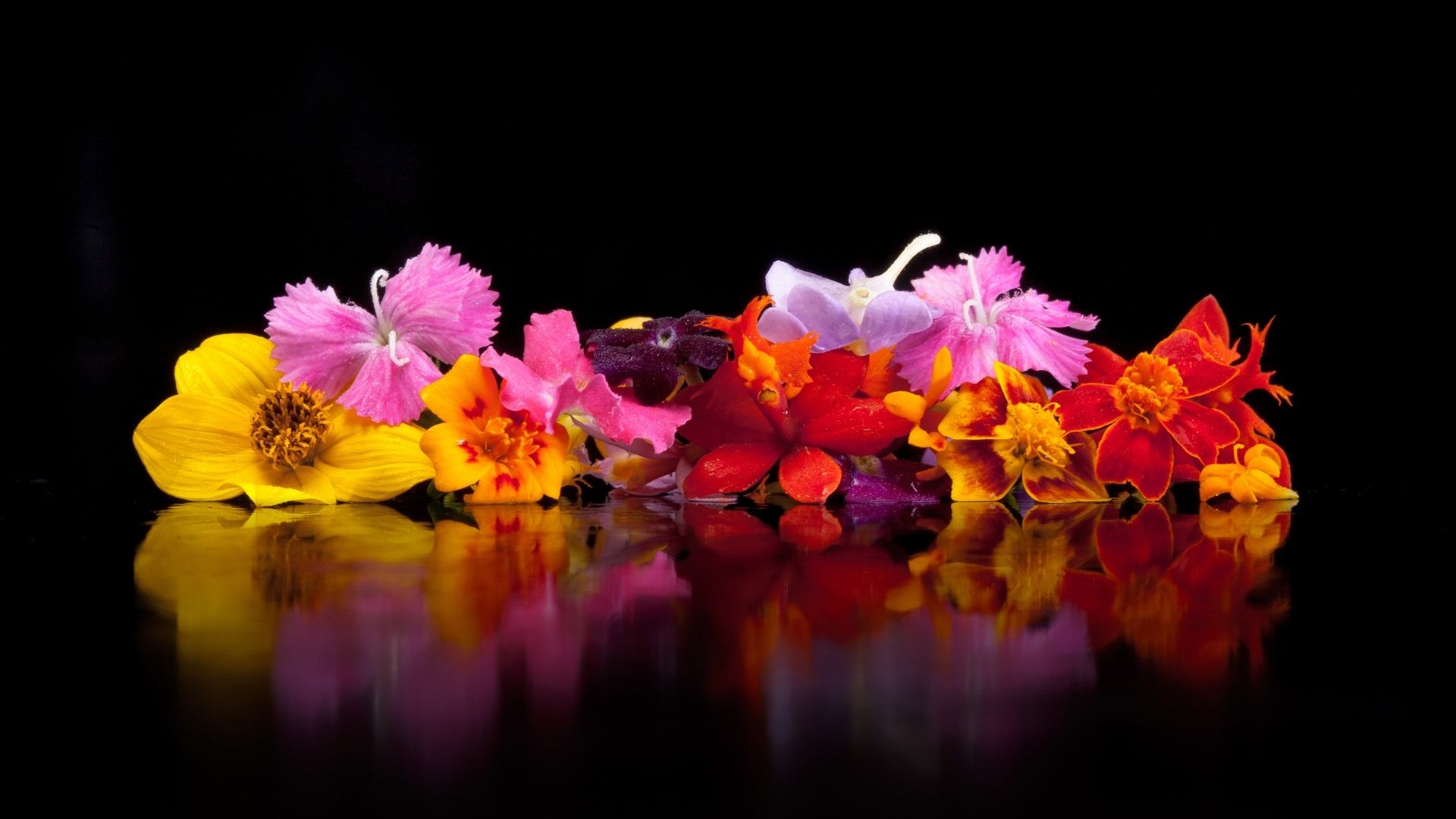 Yeni Başlayanlar İçin Yenilebilir Çiçekler