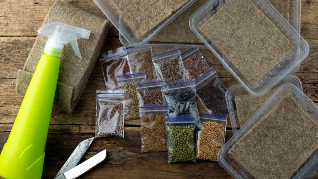 How to Grow Microgreens at Home