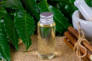 What is Neem Oil and How to Use It on Plants