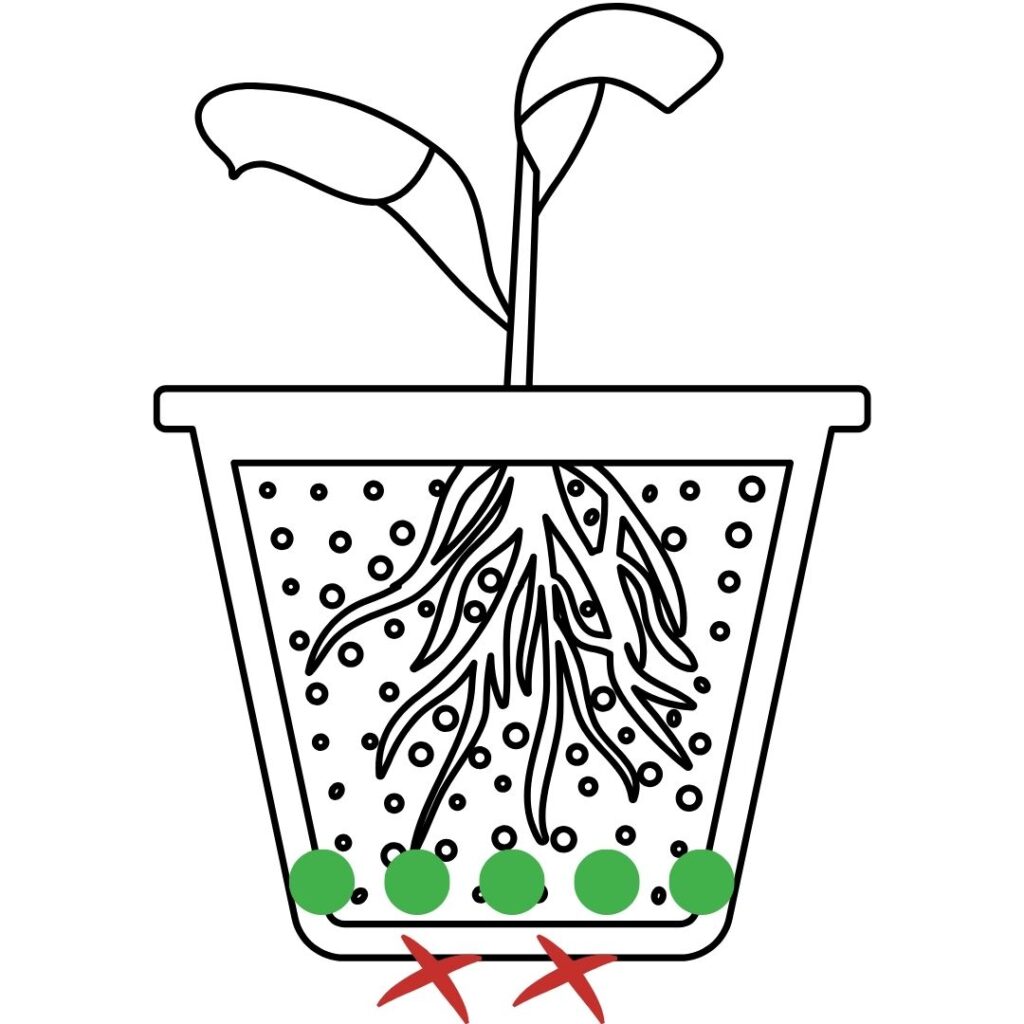 How to put drainage holes in seedling pot