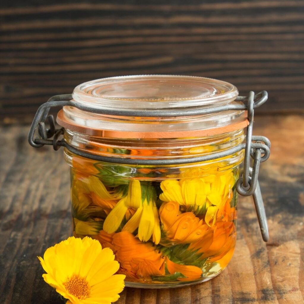 Calendula Oil