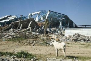 Blog Elements (Landscape)