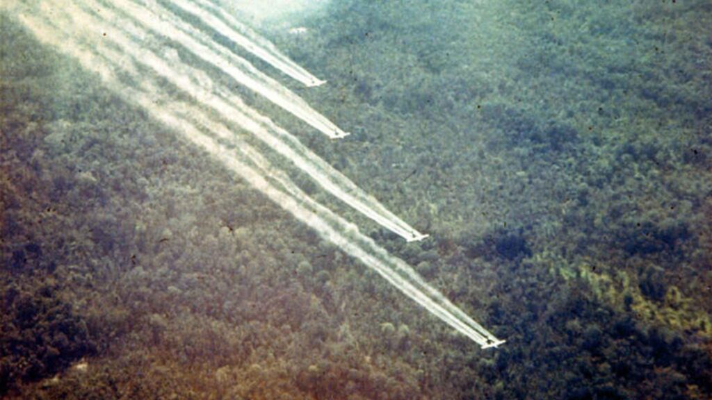 The U.S. Herbicidal Warfare Program in Vietnam